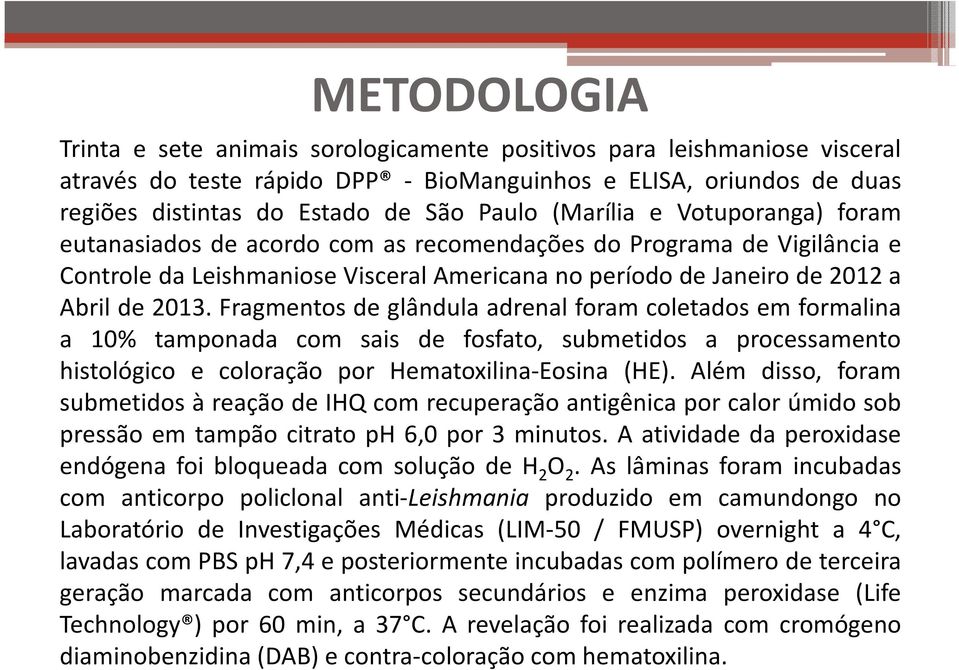 Fragmentos de glândula adrenal foram coletados em formalina a 10% tamponada com sais de fosfato, submetidos a processamento histológico e coloração por Hematoxilina-Eosina (HE).