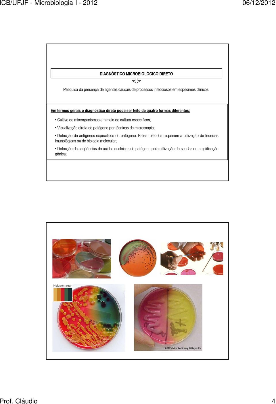 Visualização direta do patógeno por técnicas de microscopia; Detecção de antígenos específicos do patógeno.