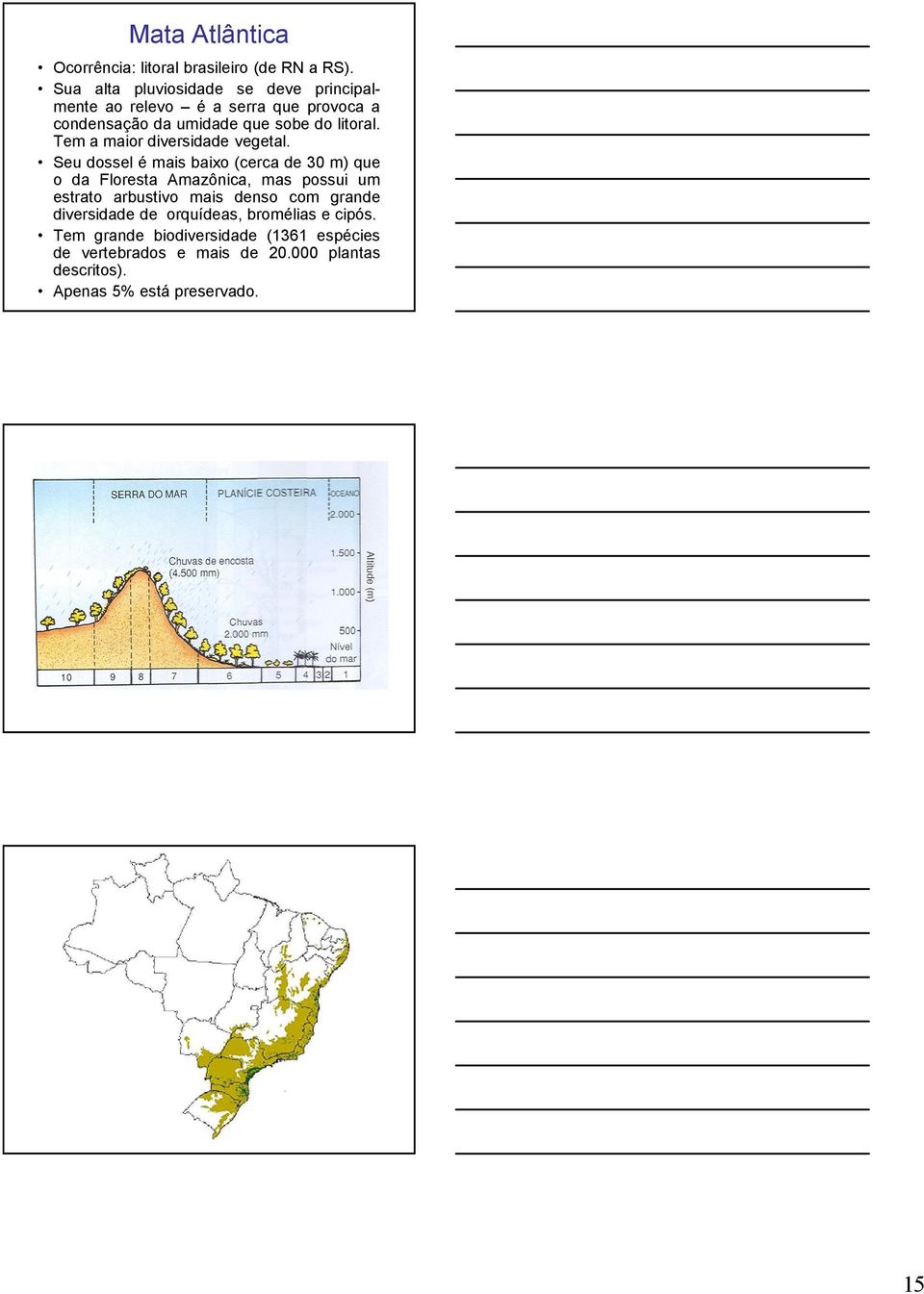 Tem a maior diversidade vegetal.