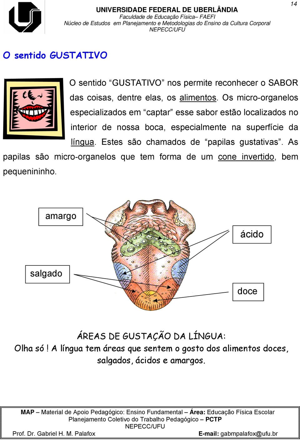 língua. Estes são chamados de papilas gustativas.