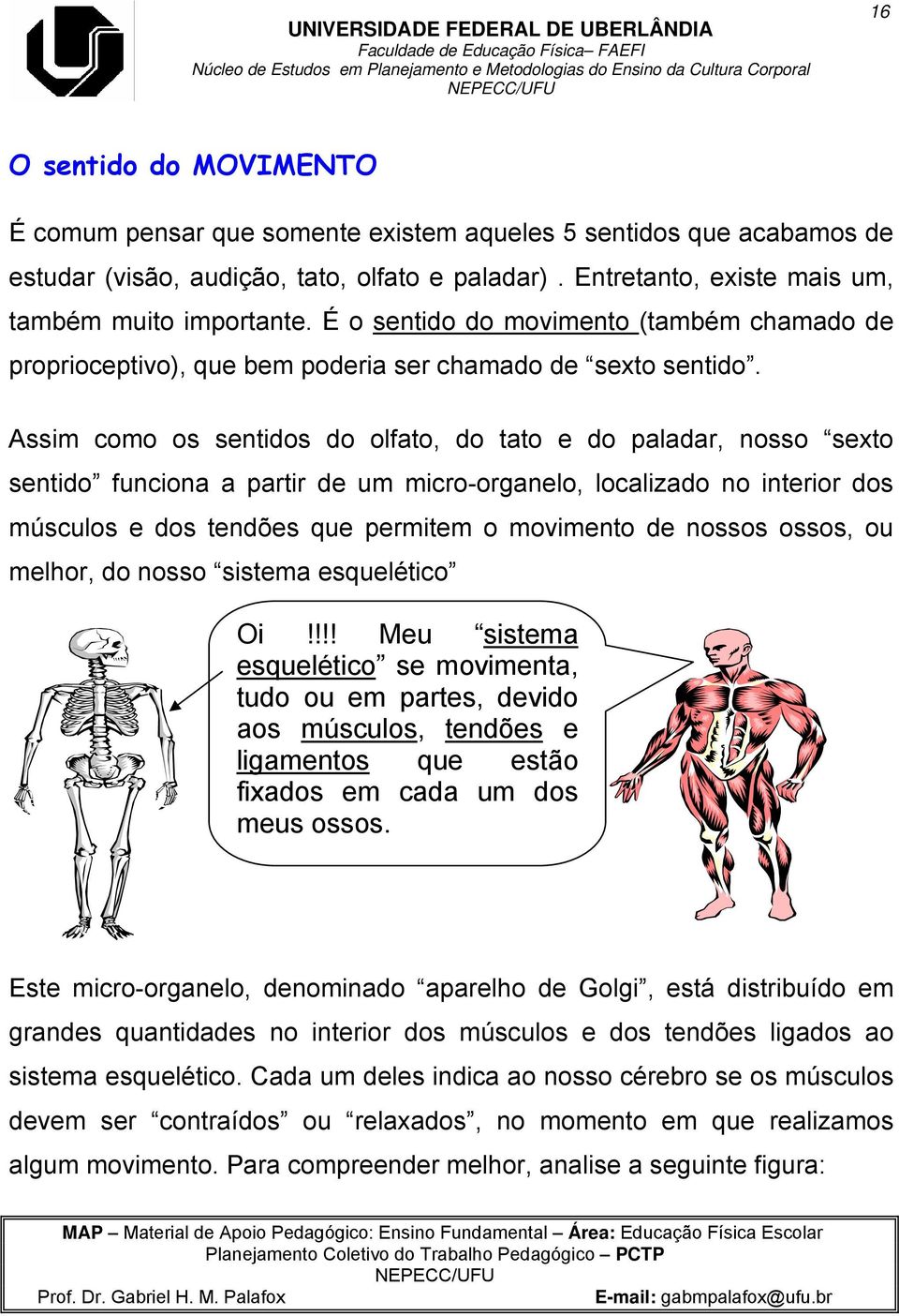 Assim como os sentidos do olfato, do tato e do paladar, nosso sexto sentido funciona a partir de um micro-organelo, localizado no interior dos músculos e dos tendões que permitem o movimento de