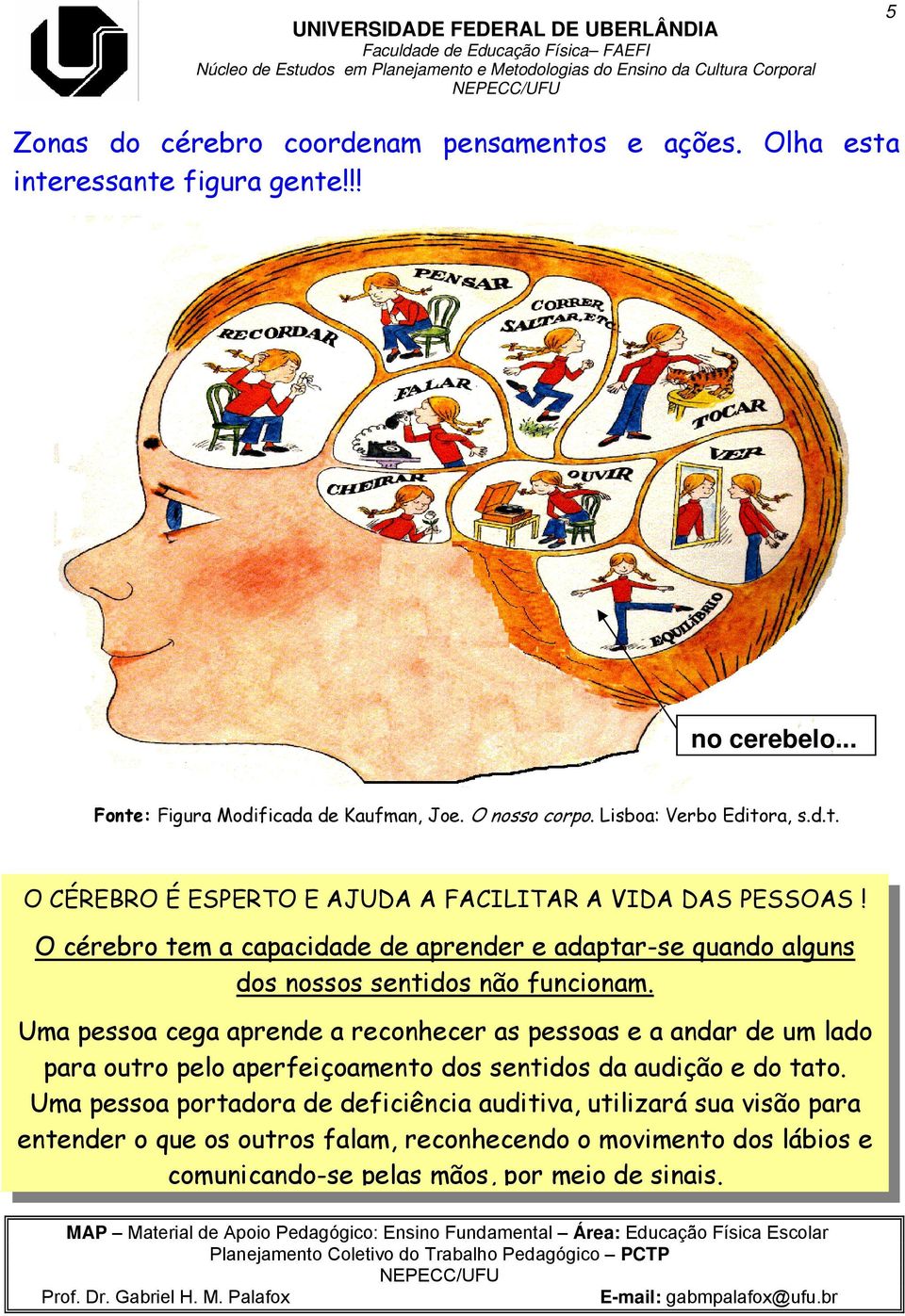 O cérebro tem a capacidade de aprender e adaptar-se quando alguns dos nossos sentidos não funcionam.