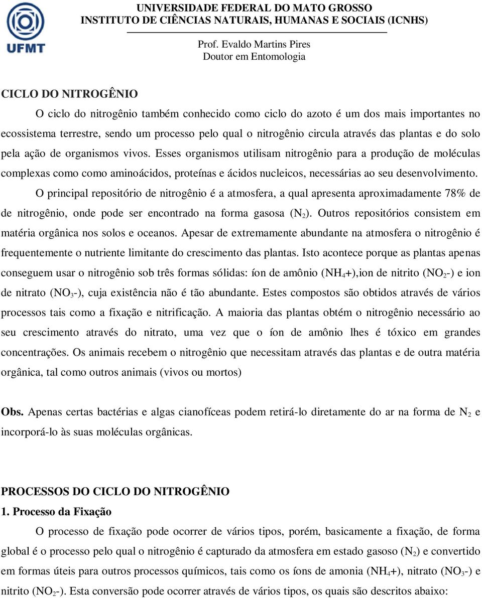 Esses organismos utilisam nitrogênio para a produção de moléculas complexas como como aminoácidos, proteínas e ácidos nucleicos, necessárias ao seu desenvolvimento.