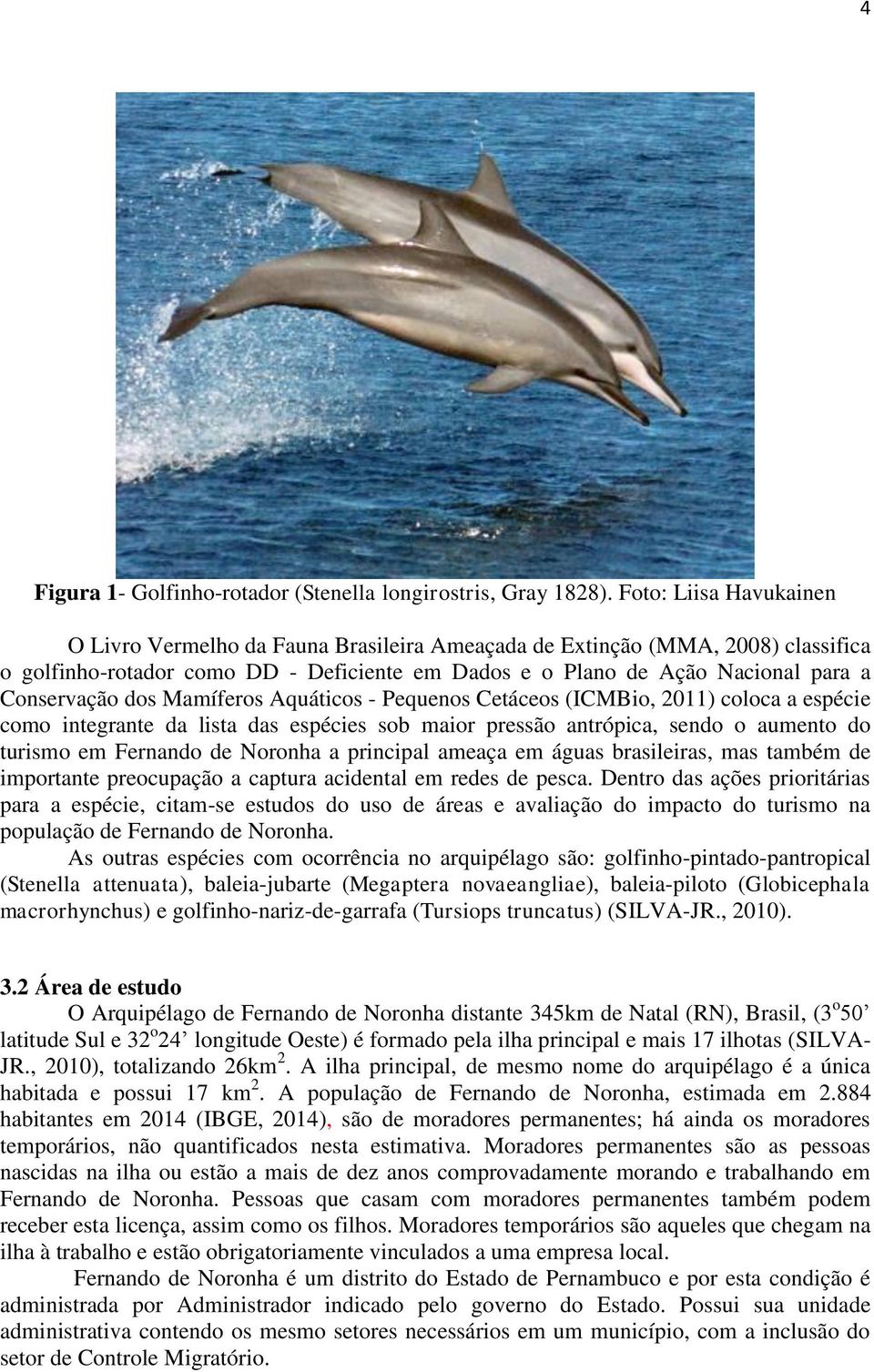 dos Mamíferos Aquáticos - Pequenos Cetáceos (ICMBio, 2011) coloca a espécie como integrante da lista das espécies sob maior pressão antrópica, sendo o aumento do turismo em Fernando de Noronha a