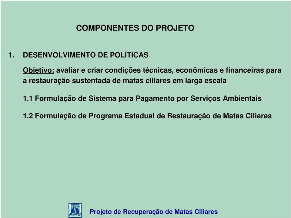 econômicas e financeiras para a restauração sustentada de matas ciliares em