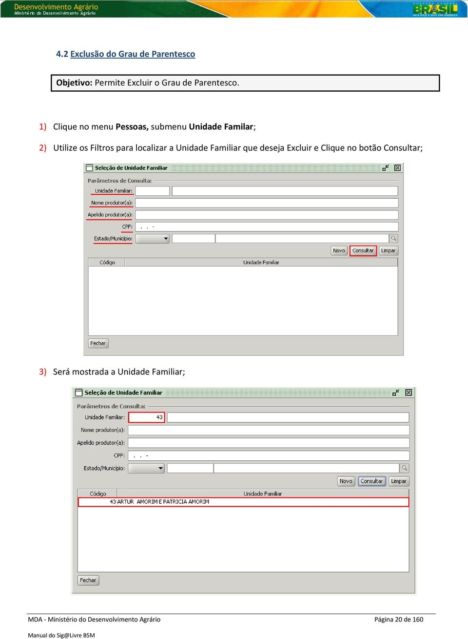 localizar a Unidade Familiar que deseja Excluir e Clique no botão Consultar; 3)