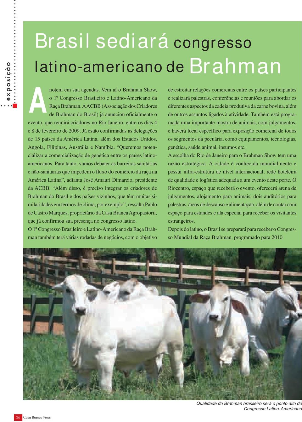 Raça Brahman. A ACBB (Associação dos Criadores diferentes aspectos da cadeia produtiva da carne bovina, além de Brahman do Brasil) já anunciou oficialmente o de outros assuntos ligados à atividade.