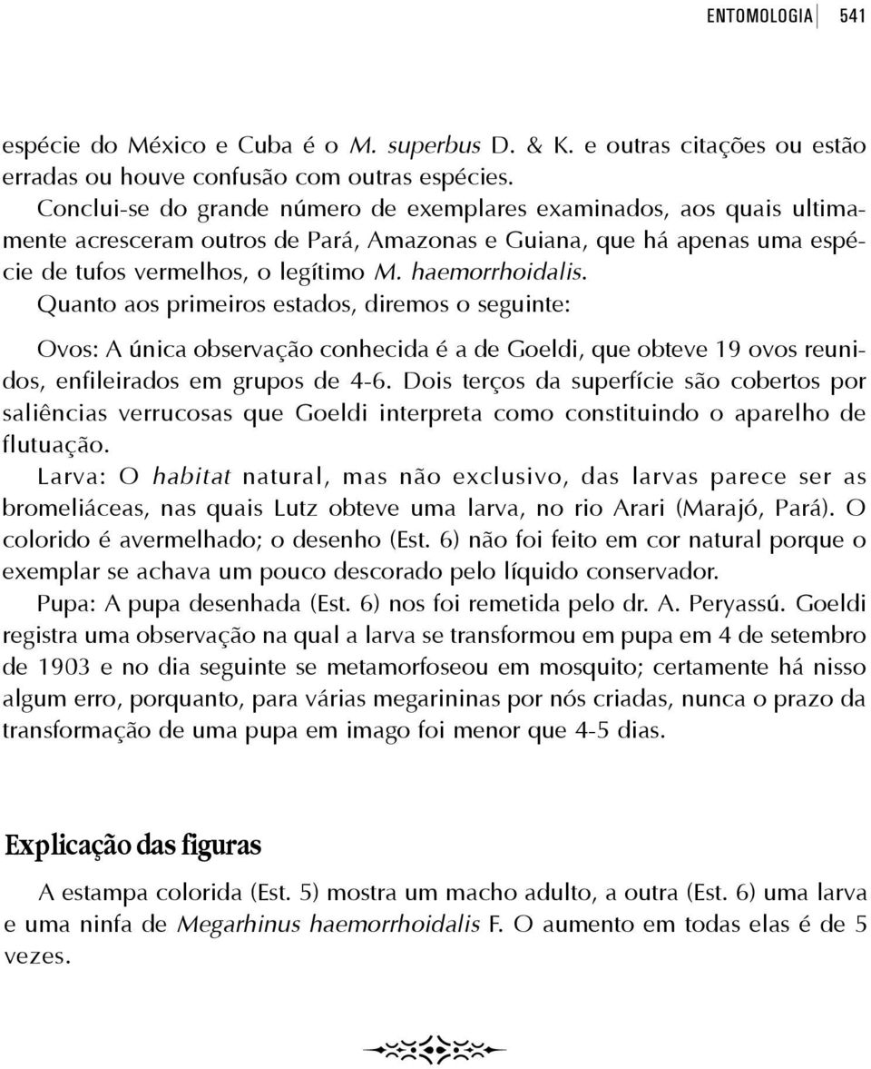 Quanto aos primeiros estados, diremos o seguinte: Ovos: A única observação conhecida é a de Goeldi, que obteve 19 ovos reunidos, enfileirados em grupos de 4-6.