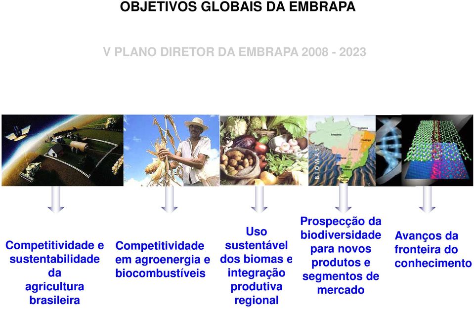 biocombustíveis Uso sustentável dos biomas e integração produtiva regional Prospecção