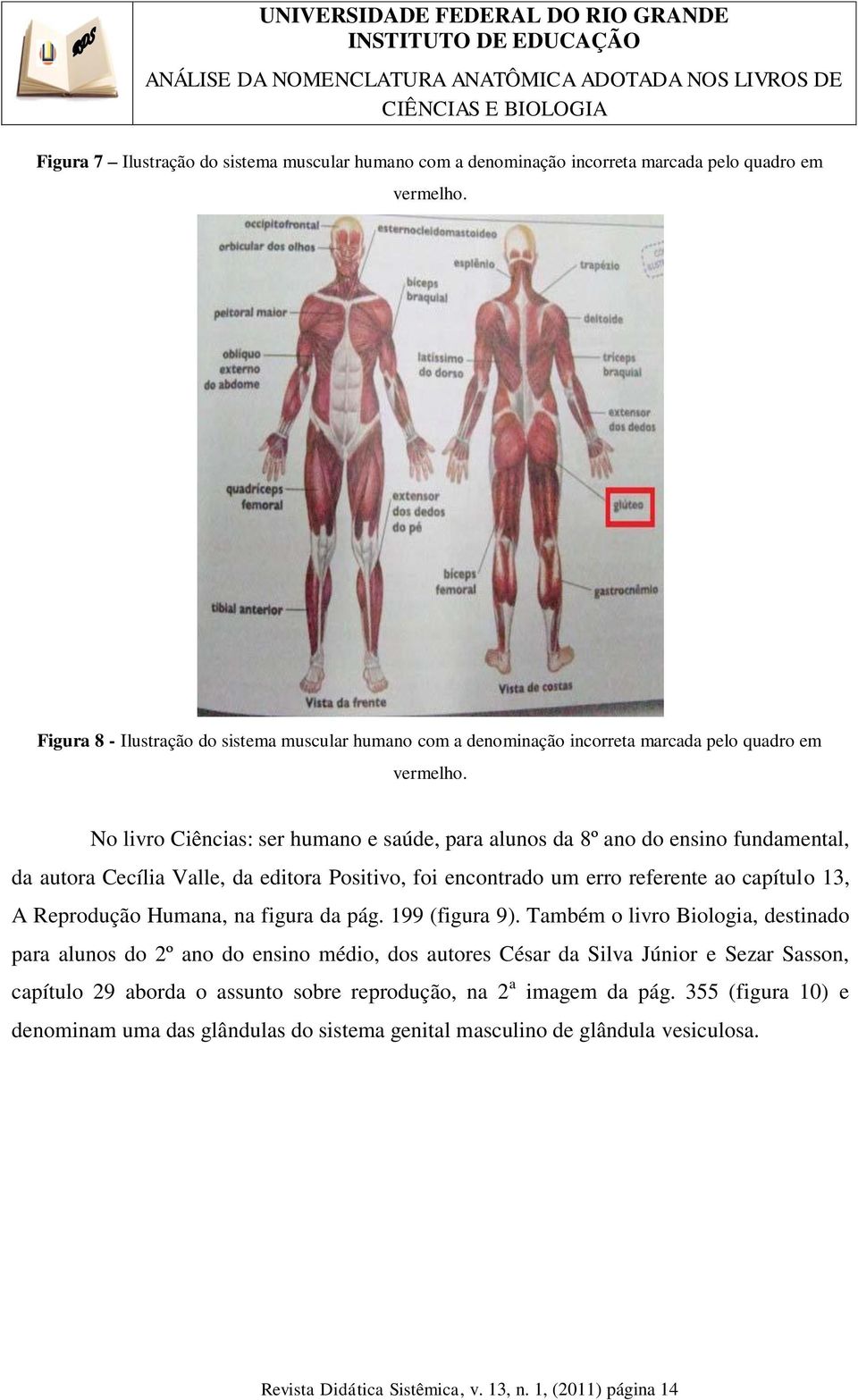 No livro Ciências: ser humano e saúde, para alunos da 8º ano do ensino fundamental, da autora Cecília Valle, da editora Positivo, foi encontrado um erro referente ao capítulo 13, A Reprodução Humana,