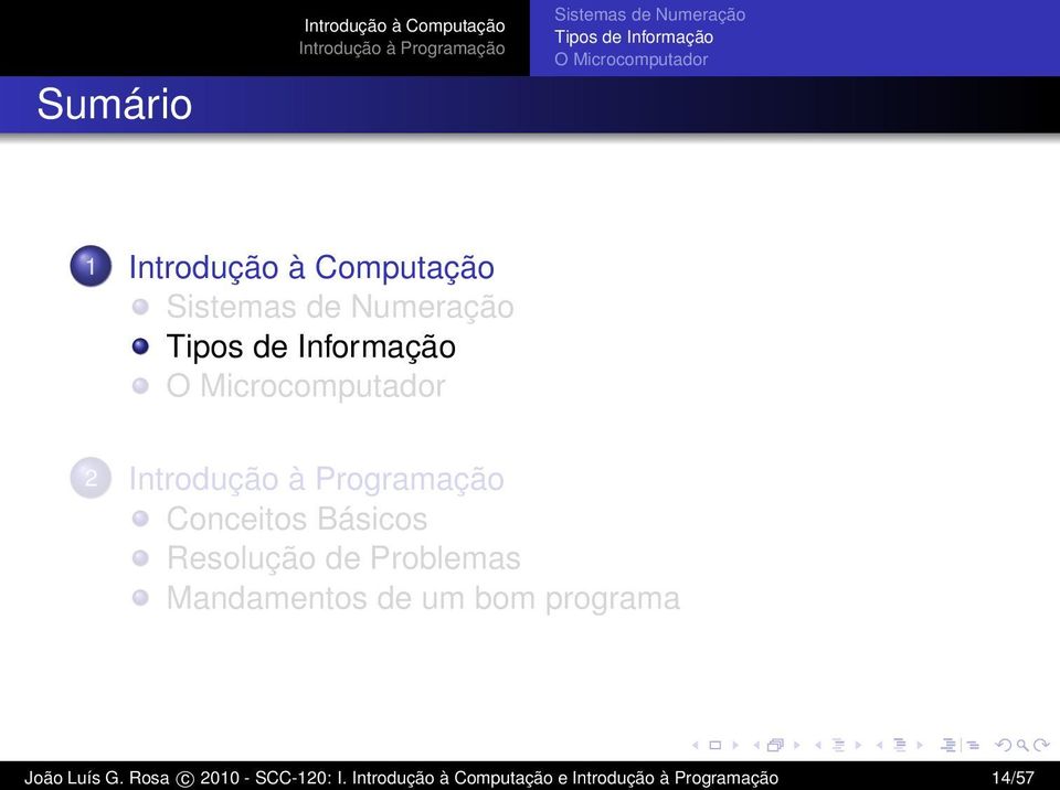 Problemas Mandamentos de um bom programa João Luís