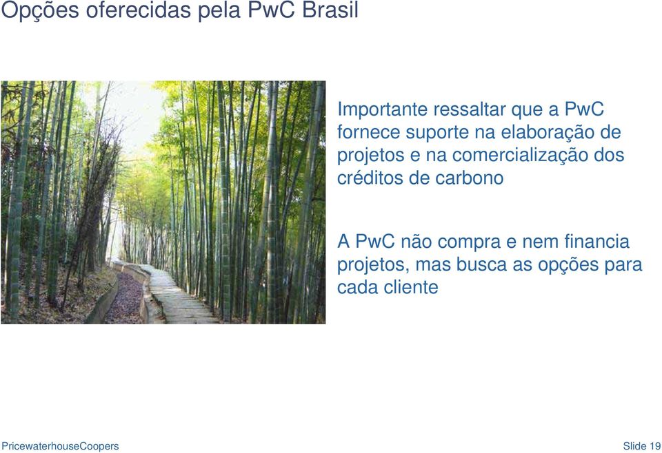 comercialização dos créditos de carbono A PwC não compra e