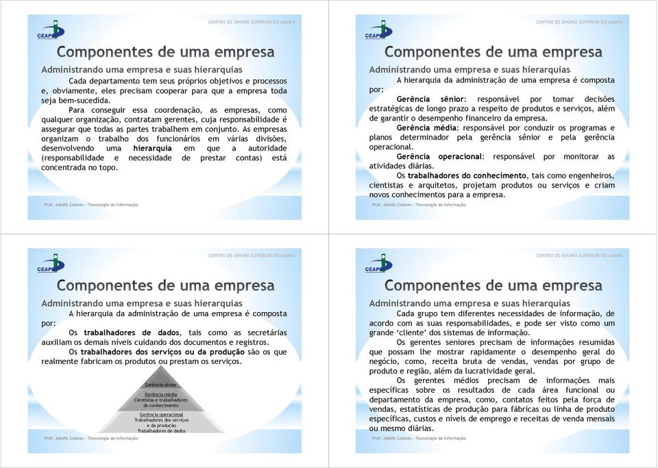 As empresas organizam o trabalho dos funcionários em várias divisões, desenvolvendo uma hierarquia em que a autoridade (responsabilidade e necessidade de prestar contas) está concentrada no topo.