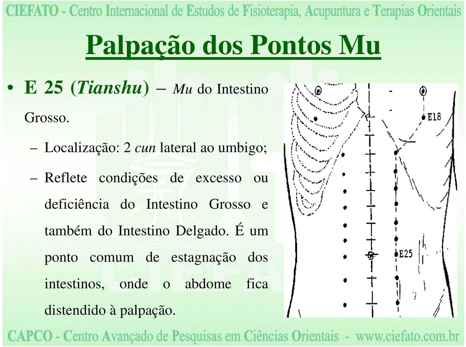 ou deficiência do Intestino Grosso e também do Intestino Delgado.