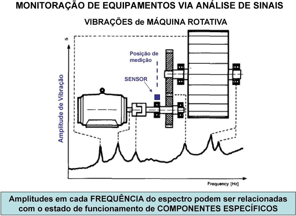 SENSOR Amplitudes em cada FREQUÊNCIA do espectro podem ser