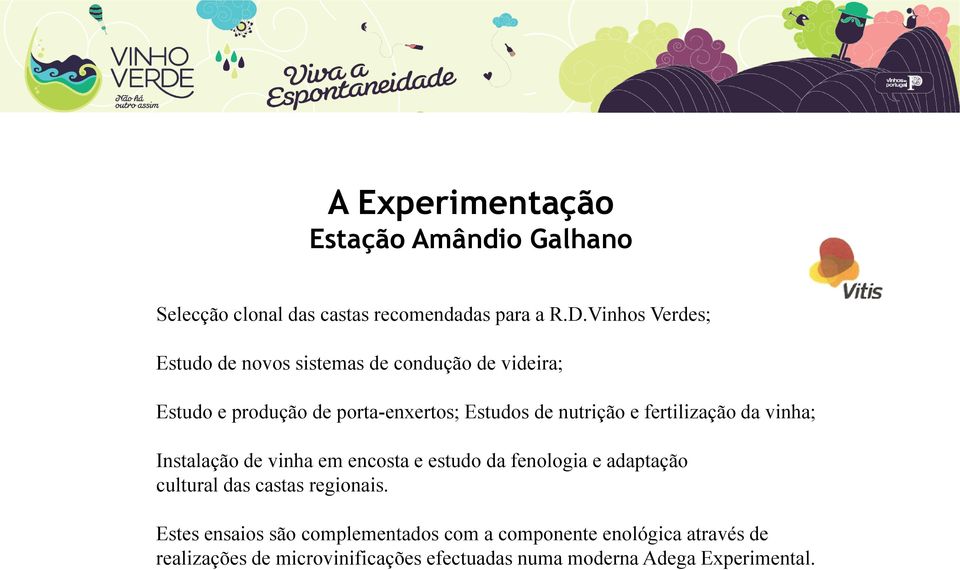 e fertilização da vinha; Instalação de vinha em encosta e estudo da fenologia e adaptação cultural das castas regionais.