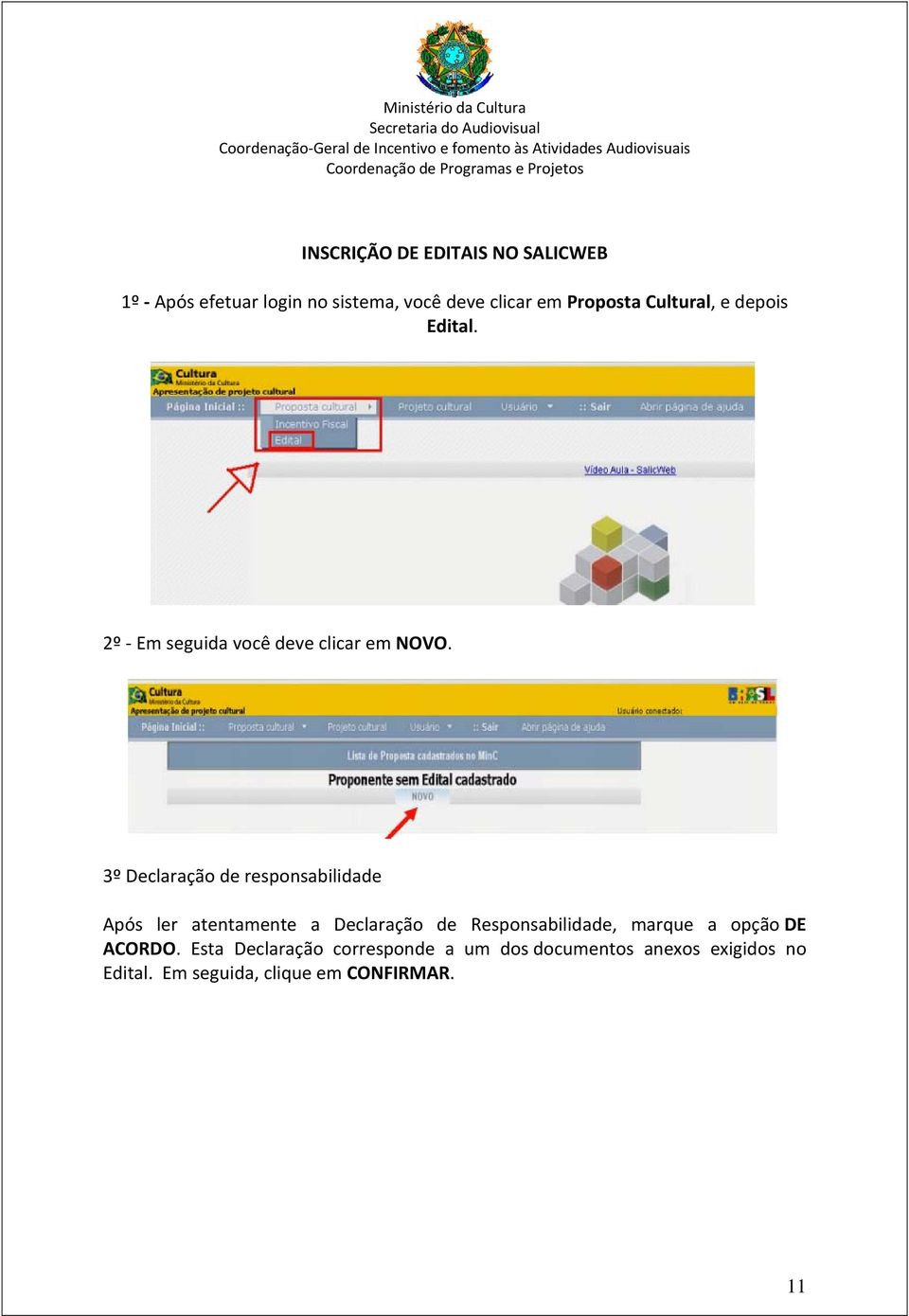 3º Declaração de responsabilidade Após ler atentamente a Declaração de Responsabilidade, marque