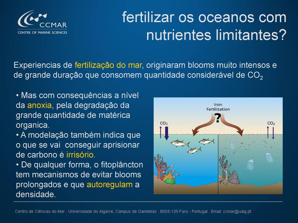 considerável de CO 2 Mas com consequências a nível da anoxia, pela degradação da grande quantidade de matérica organica.