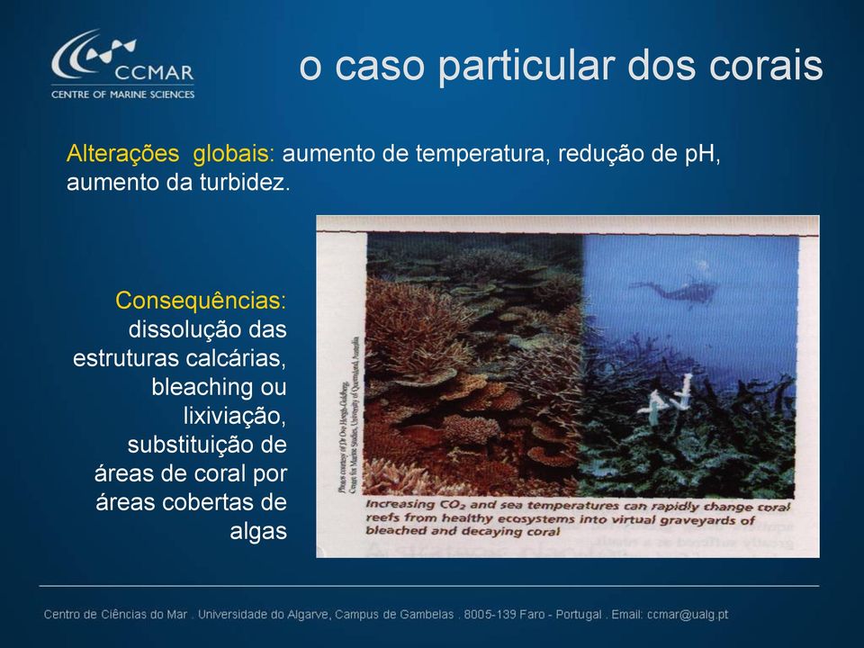 Consequências: dissolução das estruturas calcárias,