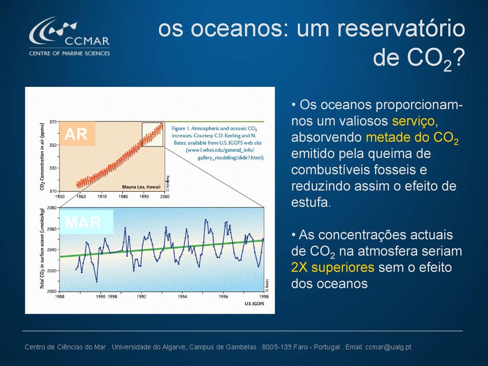 do CO 2 emitido pela queima de combustíveis fosseis e reduzindo assim o