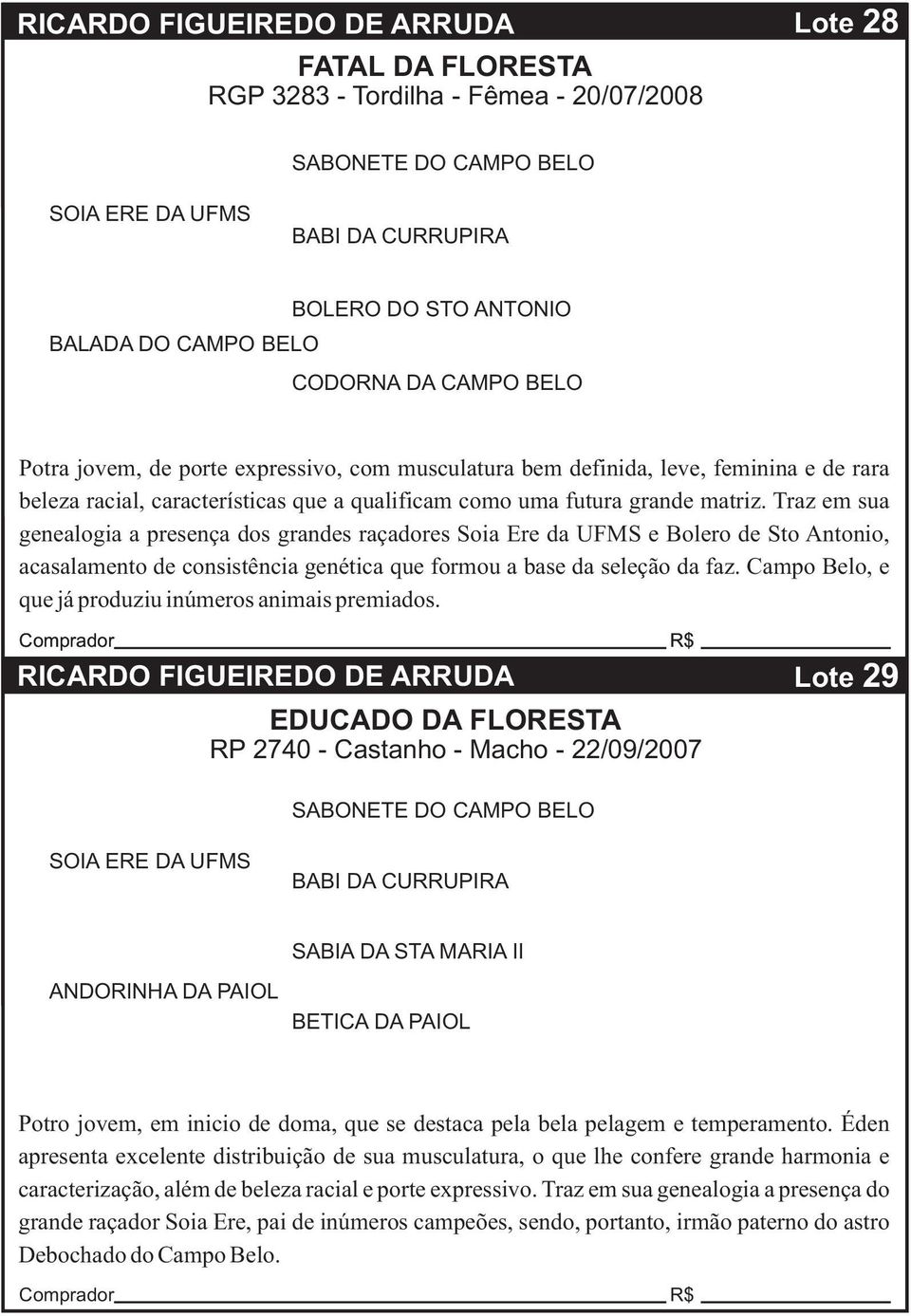 Traz em sua genealogia a presença dos grandes raçadores Soia Ere da UFMS e Bolero de Sto Antonio, acasalamento de consistência genética que formou a base da seleção da faz.