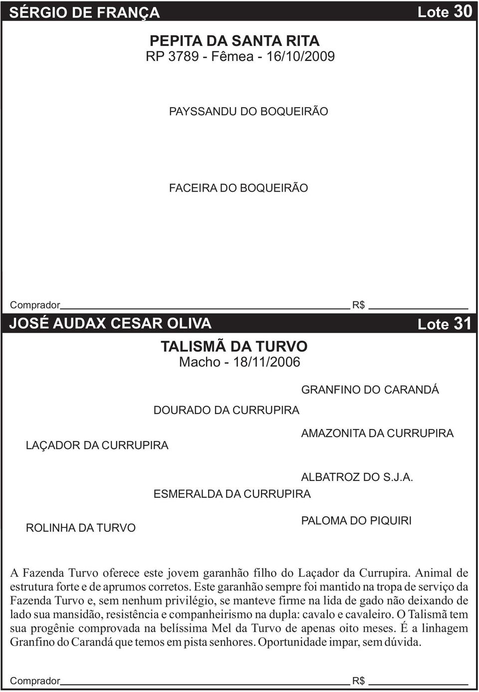 Animal de estrutura forte e de aprumos corretos.