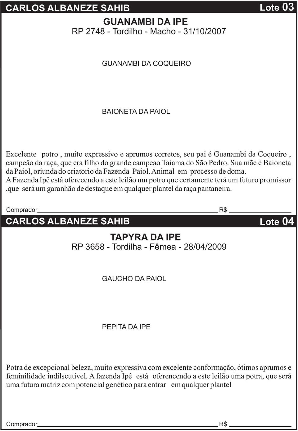 A Fazenda Ipê está oferecendo a este leilão um potro que certamente terá um futuro promissor,que será um garanhão de destaque em qualquer plantel da raça pantaneira.