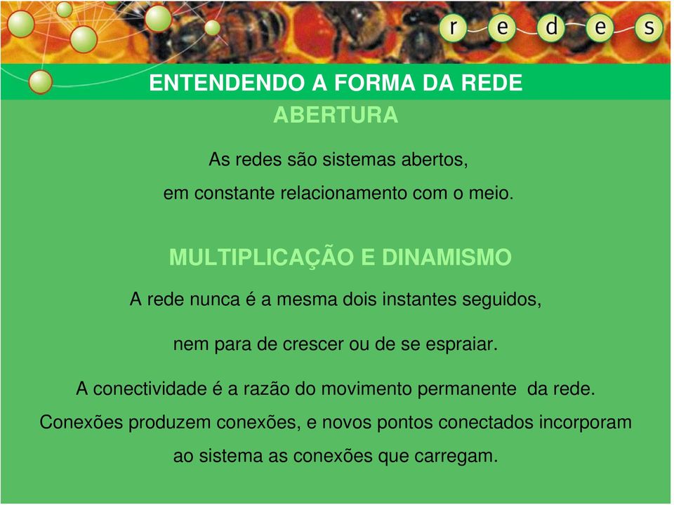 MULTIPLICAÇÃO E DINAMISMO A rede nunca é a mesma dois instantes seguidos, nem para de crescer