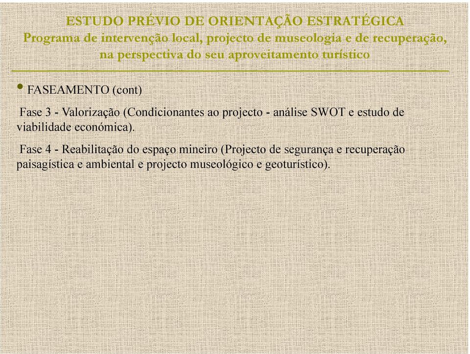 (Condicionantes ao projecto - análise SWOT e estudo de viabilidade económica).