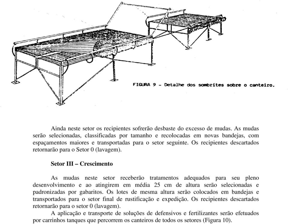 Os recipientes descartados retornarão para o Setor 0 (lavagem).