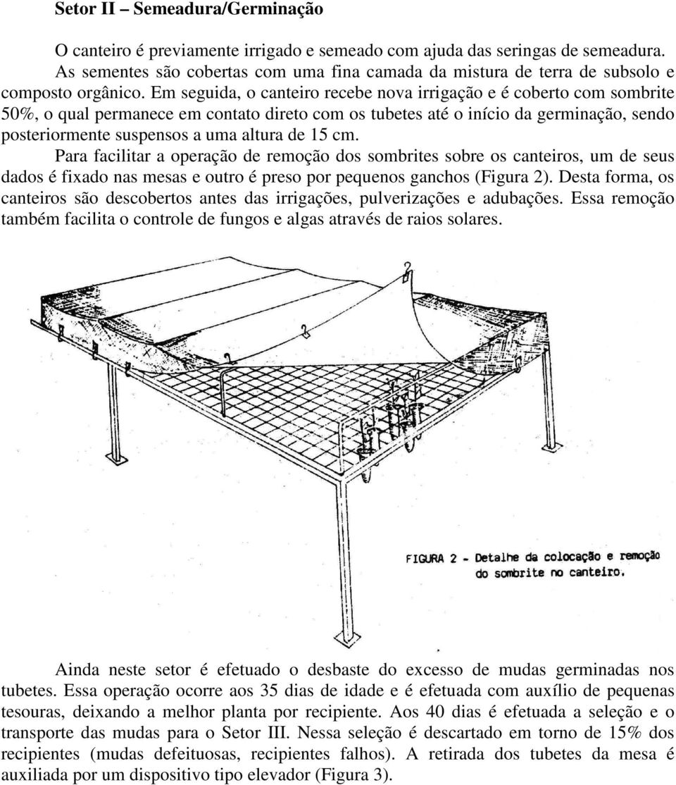 Em seguida, o canteiro recebe nova irrigação e é coberto com sombrite 50%, o qual permanece em contato direto com os tubetes até o início da germinação, sendo posteriormente suspensos a uma altura de