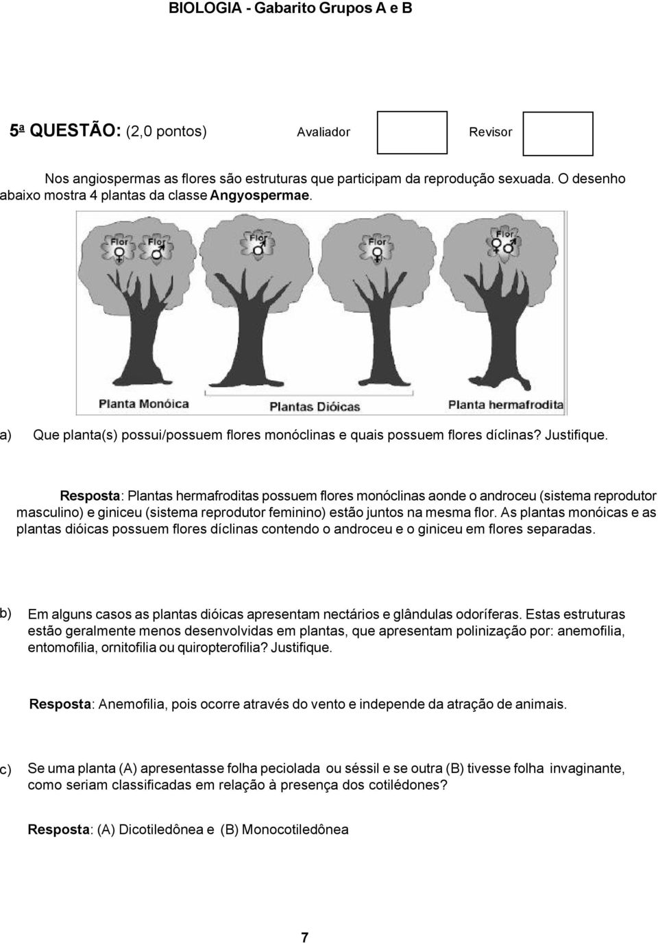 Resposta: Plantas hermafroditas possuem flores monóclinas aonde o androceu (sistema reprodutor masculino) e giniceu (sistema reprodutor feminino) estão juntos na mesma flor.