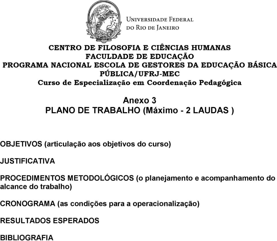 LAUDAS ) OBJETIVOS (articulação aos objetivos do curso) JUSTIFICATIVA PROCEDIMENTOS METODOLÓGICOS (o planejamento e