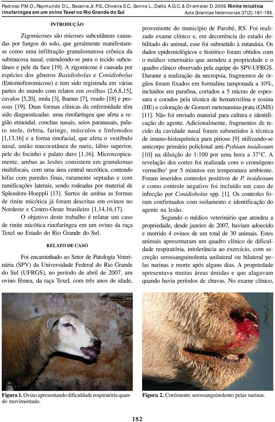 A zigomicose é causada por espécies dos gêneros Basidiobolus e Conidiobolus (Entomoftoromicose) e tem sido registrada em várias partes do mundo com relatos em ovelhas [2,6,8,15], cavalos [5,20], mula