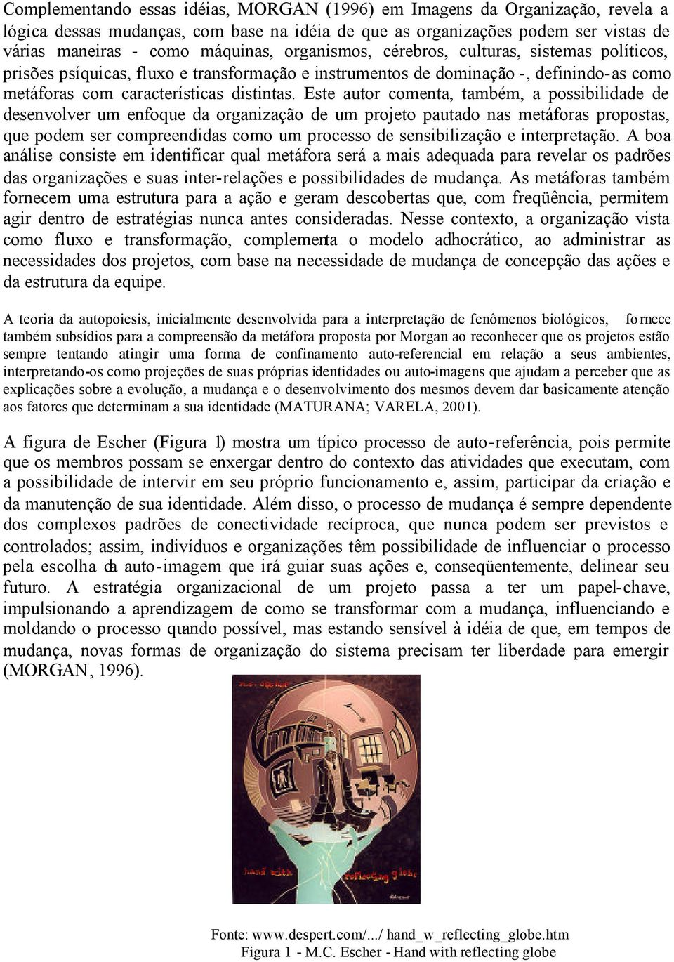 Este autor comenta, também, a possibilidade de desenvolver um enfoque da organização de um projeto pautado nas metáforas propostas, que podem ser compreendidas como um processo de sensibilização e