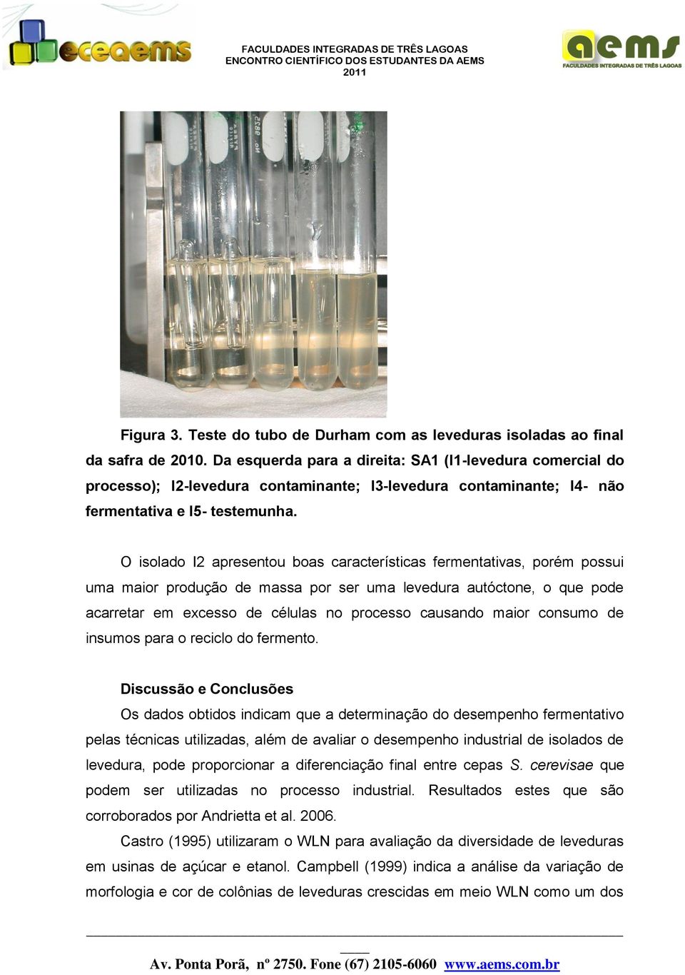 O isolado I2 apresentou boas características fermentativas, porém possui uma maior produção de massa por ser uma levedura autóctone, o que pode acarretar em excesso de células no processo causando