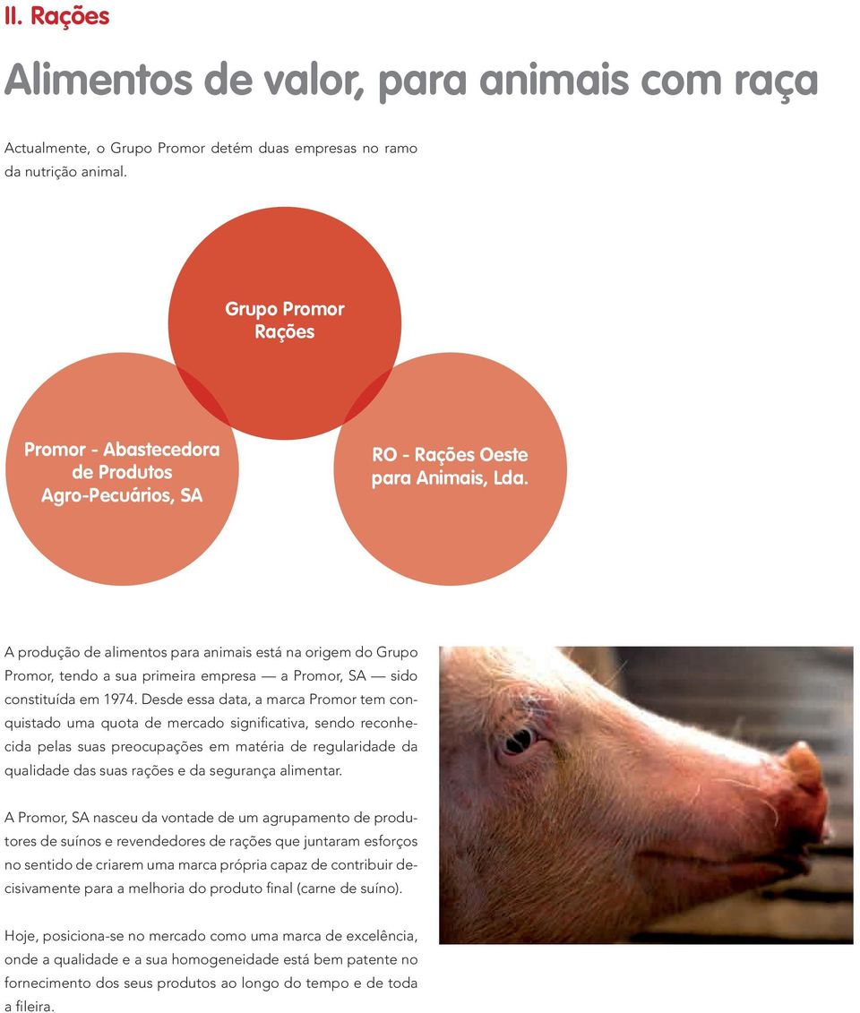 A produção de alimentos para animais está na origem do Grupo Promor, tendo a sua primeira empresa a Promor, SA sido constituída em 1974.