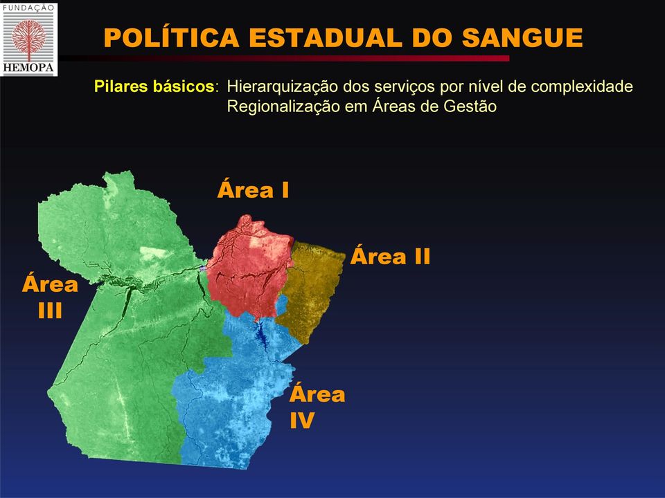 nível de complexidade Regionalização em