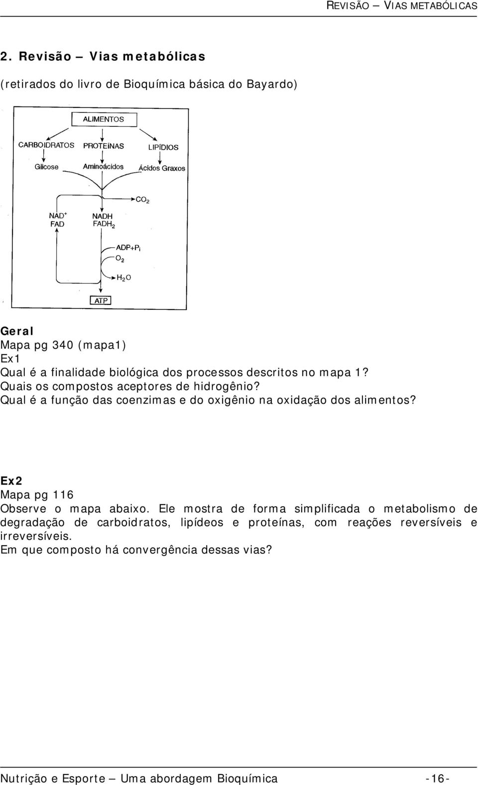 processos descritos no mapa 1? Quais os compostos aceptores de hidrogênio? Qual é a função das coenzimas e do oxigênio na oxidação dos alimentos?