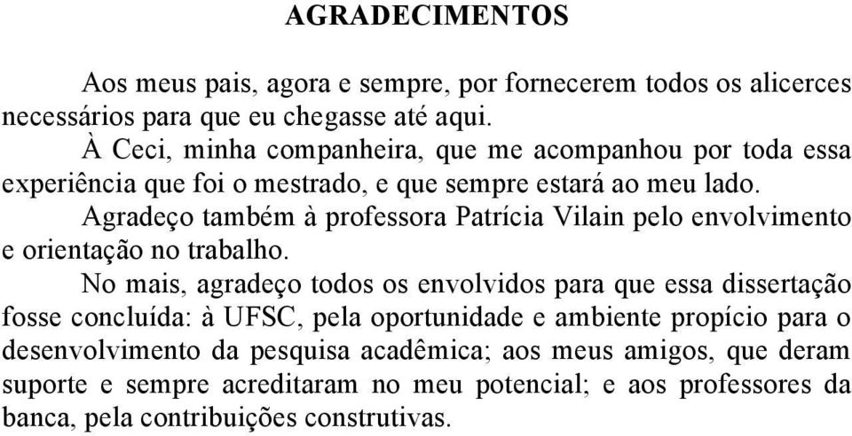 Agradeço também à professora Patrícia Vilain pelo envolvimento e orientação no trabalho.