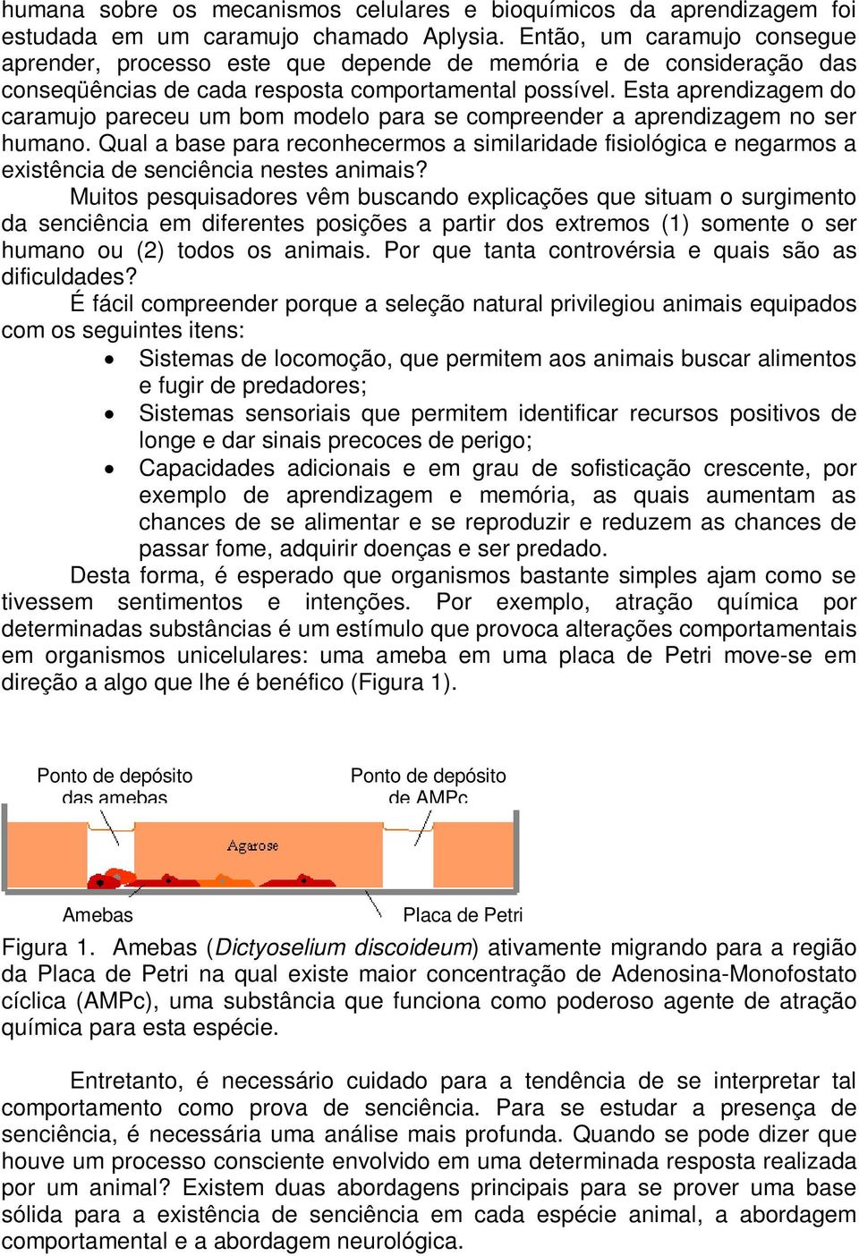 Esta aprendizagem do caramujo pareceu um bom modelo para se compreender a aprendizagem no ser humano.