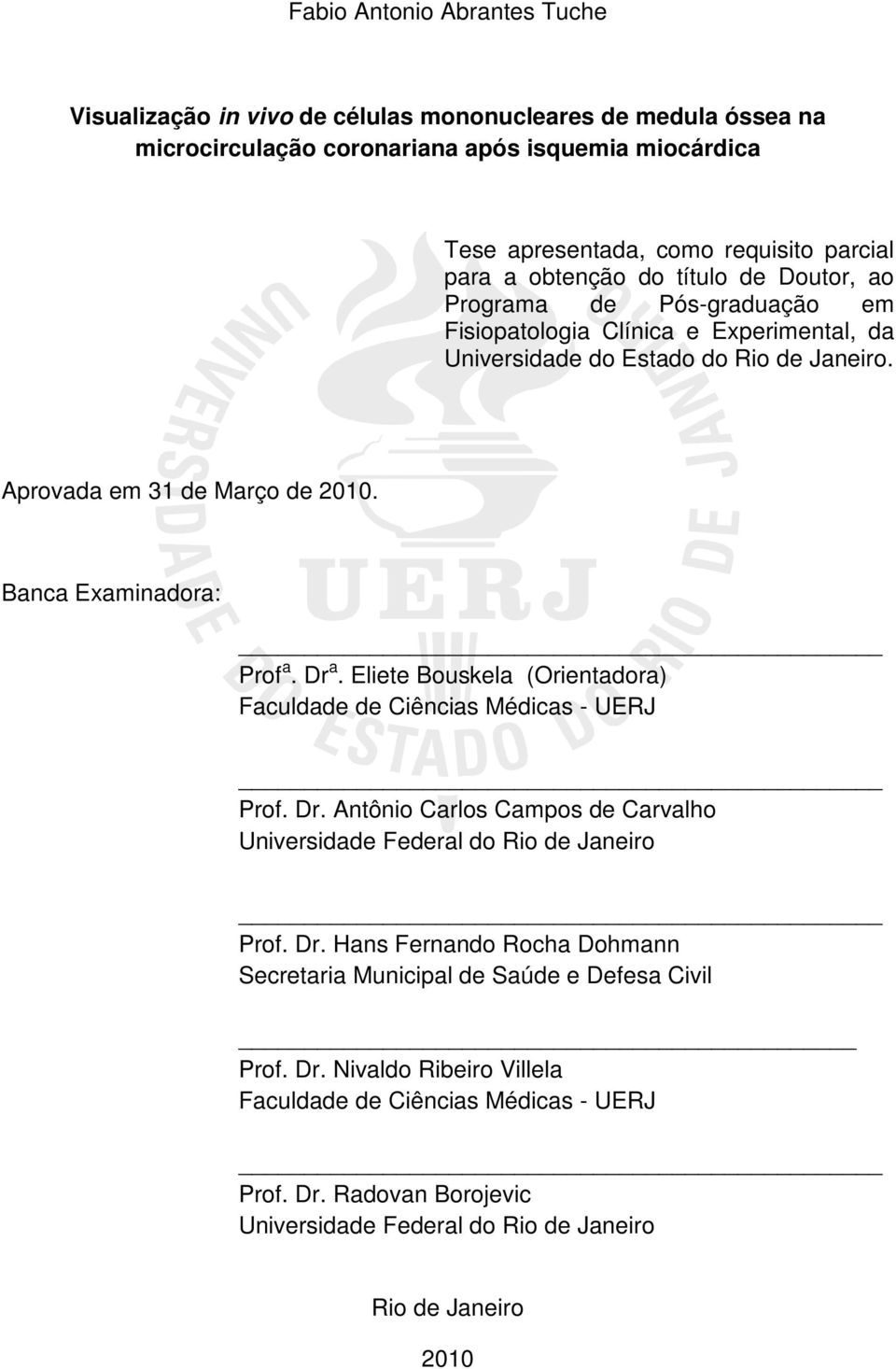 Banca Examinadora: Prof a. Dr a. Eliete Bouskela (Orientadora) Faculdade de Ciências Médicas - UERJ Prof. Dr. Antônio Carlos Campos de Carvalho Universidade Federal do Rio de Janeiro Prof. Dr. Hans Fernando Rocha Dohmann Secretaria Municipal de Saúde e Defesa Civil Prof.