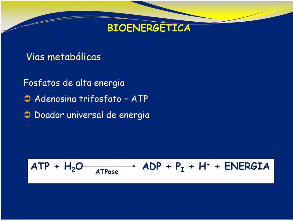 trifosfato ATP Doador universal de