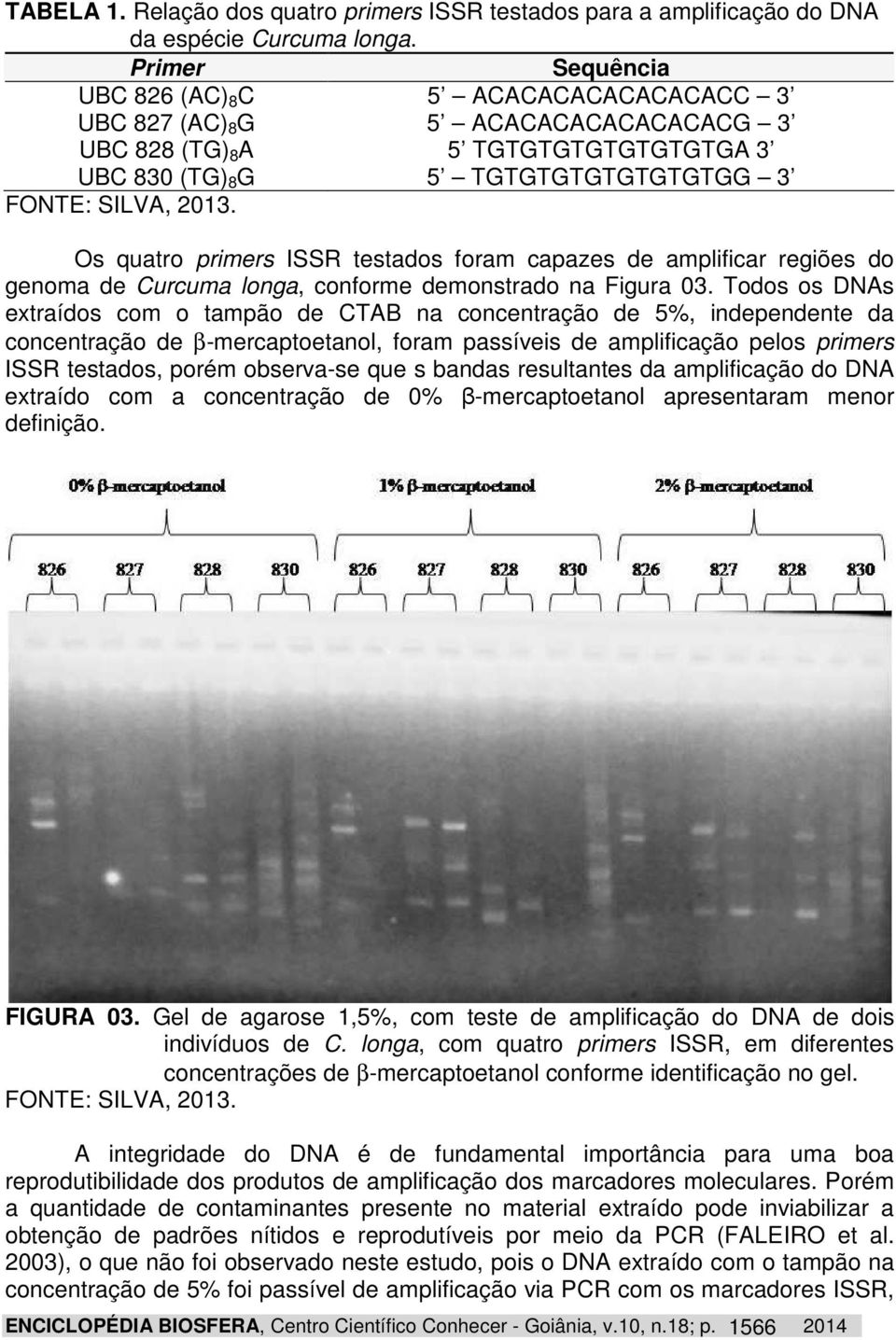 Os quatro primers ISSR testados foram capazes de amplificar regiões do genoma de Curcuma longa, conforme demonstrado na Figura 03.