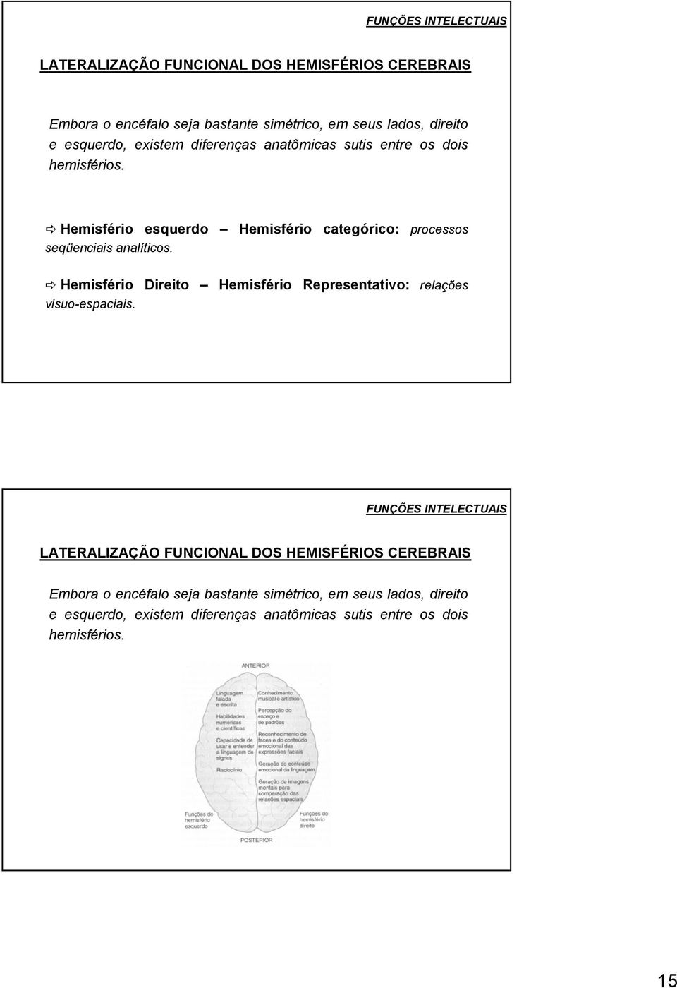 Hemisfério esquerdo Hemisfério categórico: processos seqüenciais analíticos.