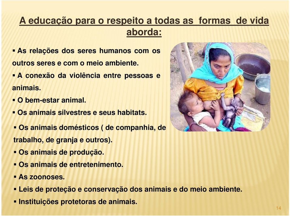 Os animais domésticos ( de companhia, de trabalho, de granja e outros). Os animais de produção.