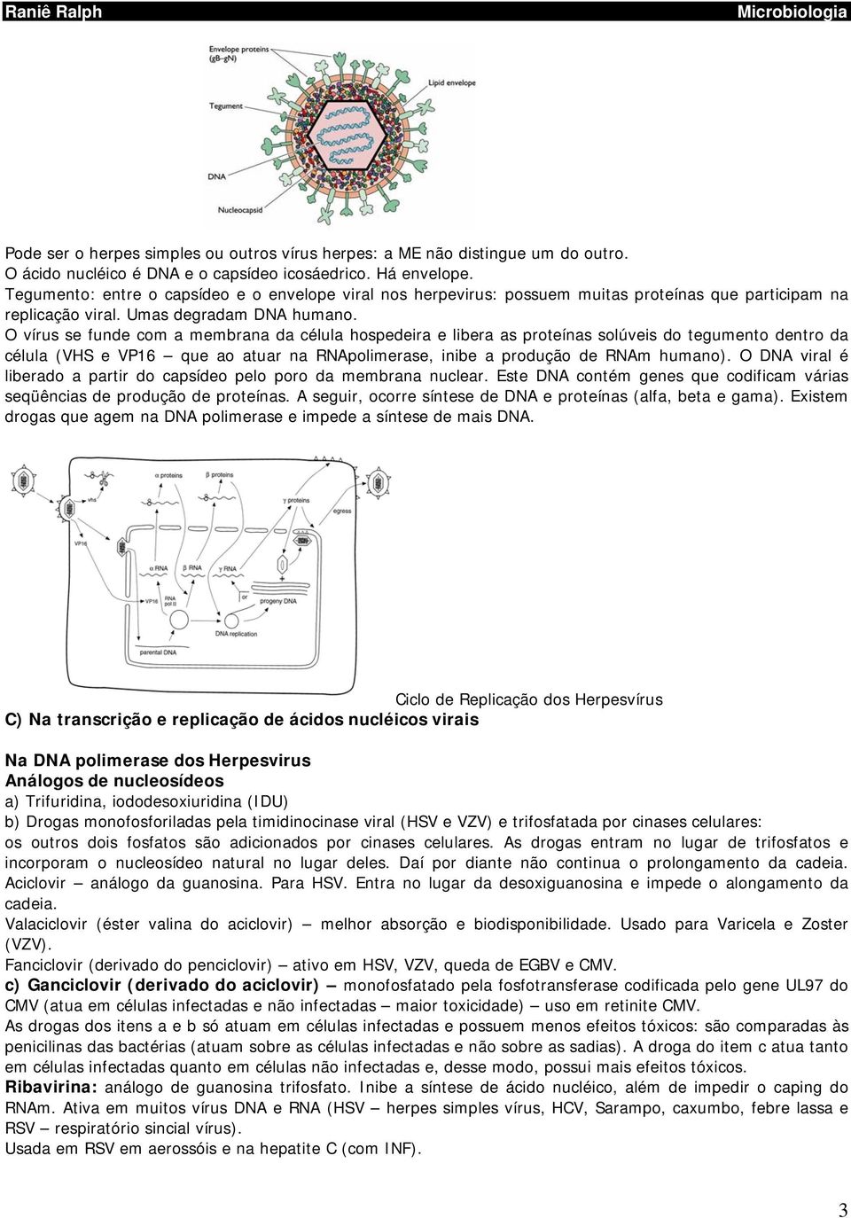 O vírus se funde com a membrana da célula hospedeira e libera as proteínas solúveis do tegumento dentro da célula (VHS e VP16 que ao atuar na RNApolimerase, inibe a produção de RNAm humano).