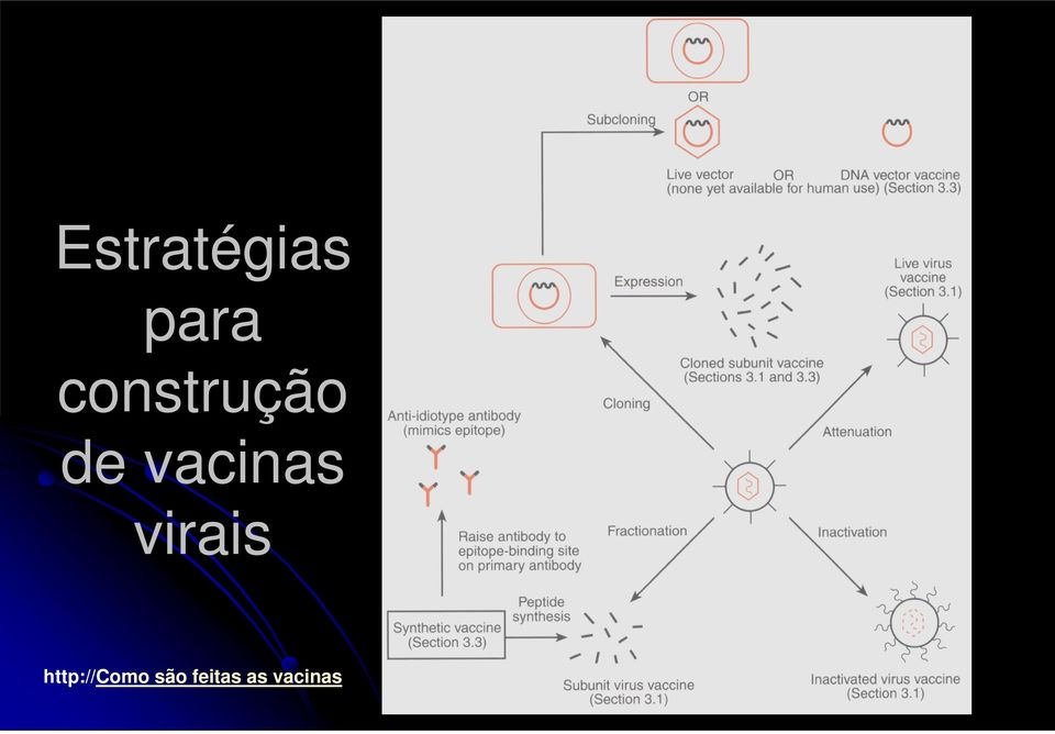 vacinas virais