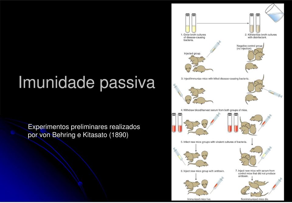 preliminares