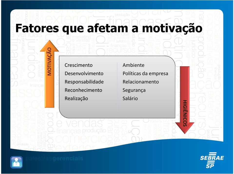 Reconhecimento Realização Ambiente Políticas